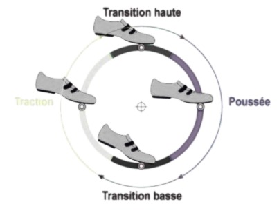 illustration des phases du cycle de pédalage